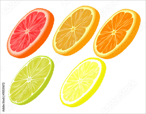 Slices of different citrus fruits on a white background.