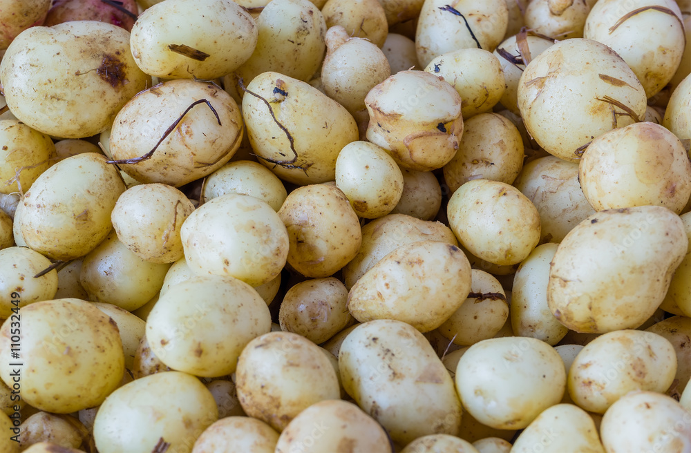 Close-up of a fresh raw potatoes background. Close-up of a fresh raw potatoes background.