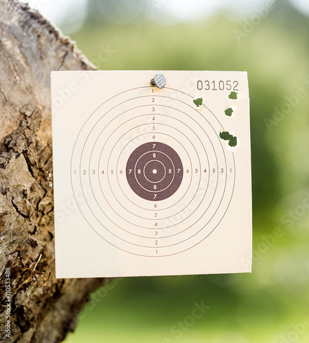 Rifle target