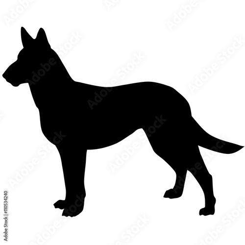 Silhouette of a dog.Vector illustration of German shepherd. Bloodhound