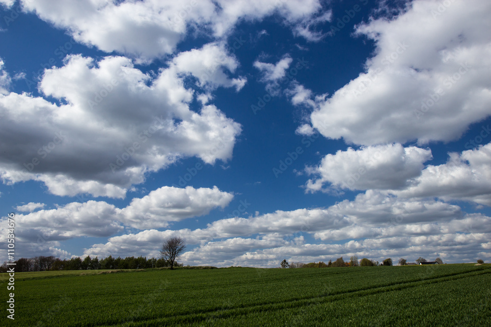 fields and meadows of Jutland