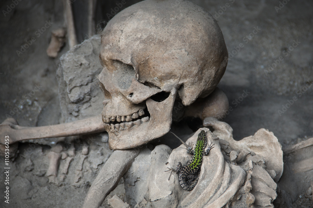 Skulls at the ruins of Herculaneum excavation in Ercolaono near Naples, Italy