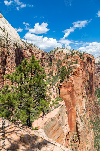 View of Zion National Park from top of Angel’s Landing, Utah, USA