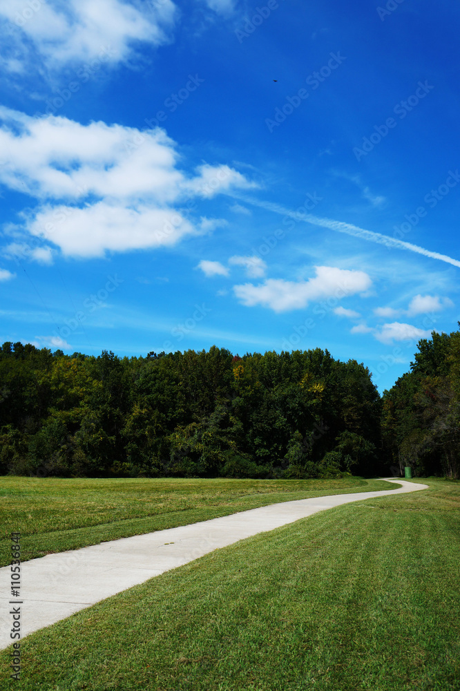 A path in a grassy area with trees and blue cloudy Sky