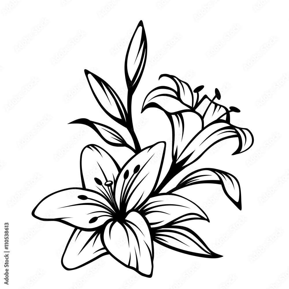 Obraz premium Vector black contour of lily flowers isolated on a white background.