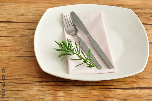 A simple place setting consisting of a plate and a knife and fork with a napkin and a piece of a plant