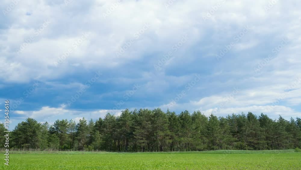Timelapse clouds over the green field and forest. FULL HD, Timelapse clouds over the green field and forest. FULL HD,