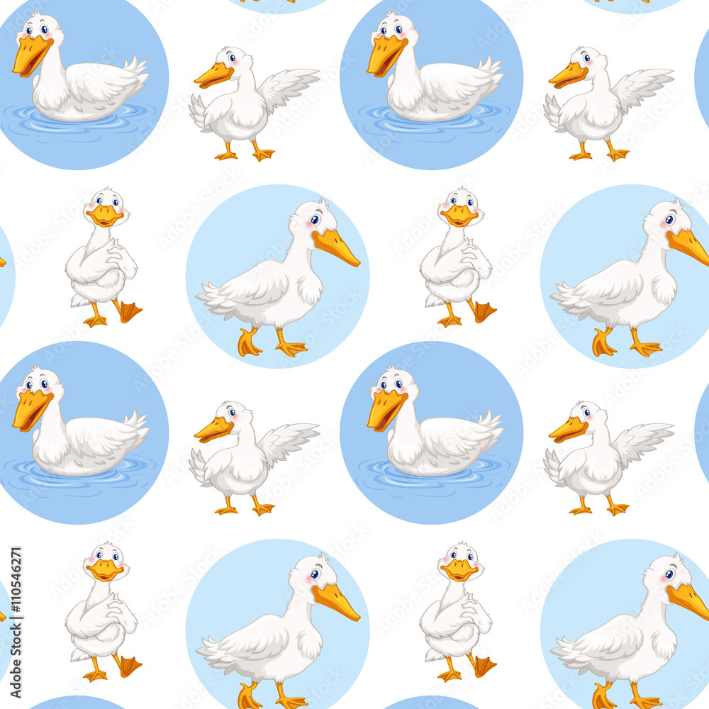Fototapeta premium Seamless duck walking and swimming