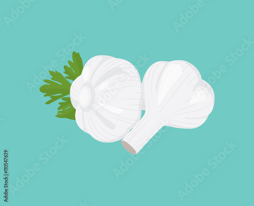 garlic single isolated object with vector graphic illustration
