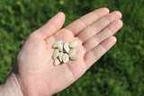 рука с семенами