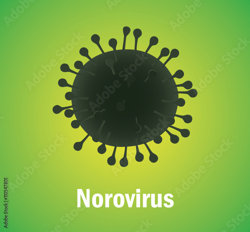norovirus virus stomach illustration food problem vector graphic illustration