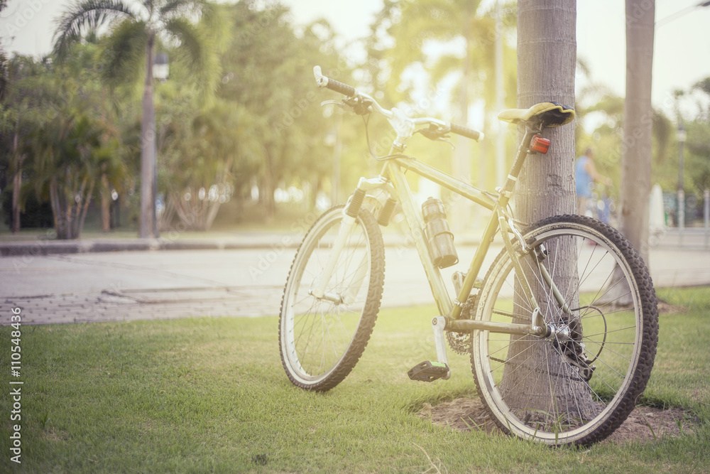 Vintage color of  bicycle in the park