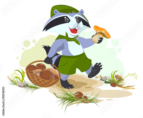 Raccoon scout collects mushrooms. Mushroomer picker with basket
