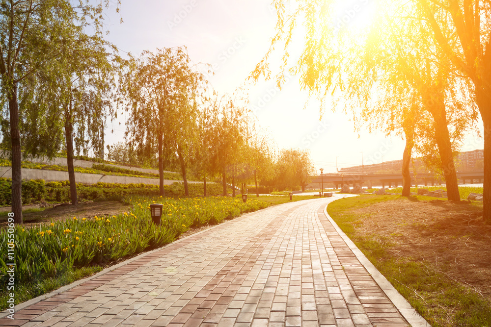 Obraz premium Chodnik w parku