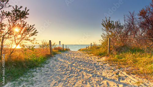 Fototapeta Naklejka Na Ścianę i Meble -  Übergang zum Meer durch die Dünen an der Küste