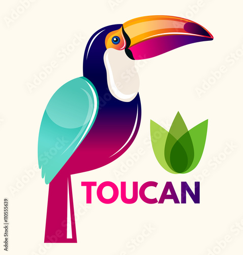 Colored illustration with tropical bird - toucan
