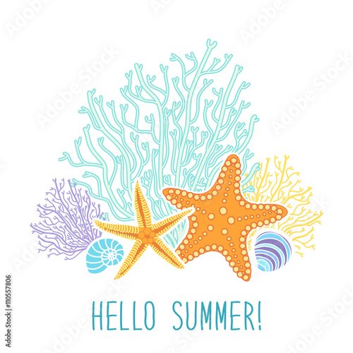 Cute marine background with hand drawn shells and starfishes and hand written text Hello Summer