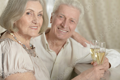 happy Senior couple with wine