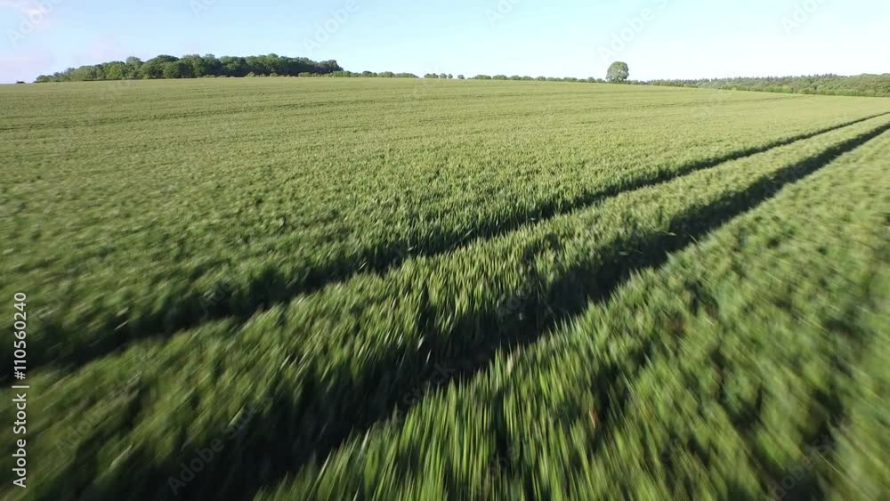 Aerial flight above forest & fields in the English countryside. Aerial flight above forest & fields in the English countryside.