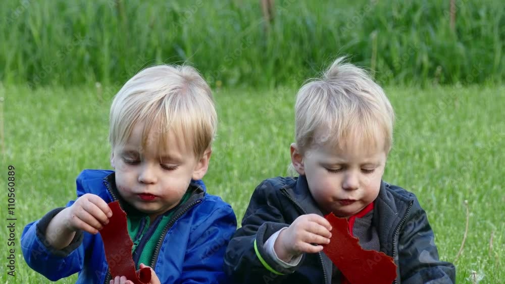 Twins with an appetite eating the treat candy caucasian sitting on the grass Twins with an appetite eating the treat candy caucasian sitting on the grass