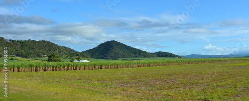 Fototapeta Naklejka Na Ścianę i Meble -  Panoramic landscape of sugar farm