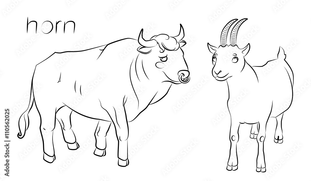 black and white image of a bull and goat black and white image of a bull and goat
