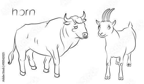 black and white image of a bull and goat