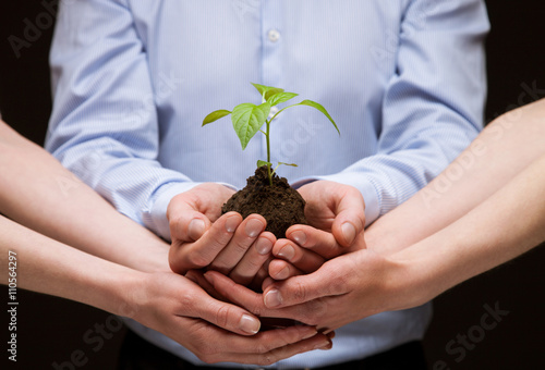 Group of hands holding green plant together
