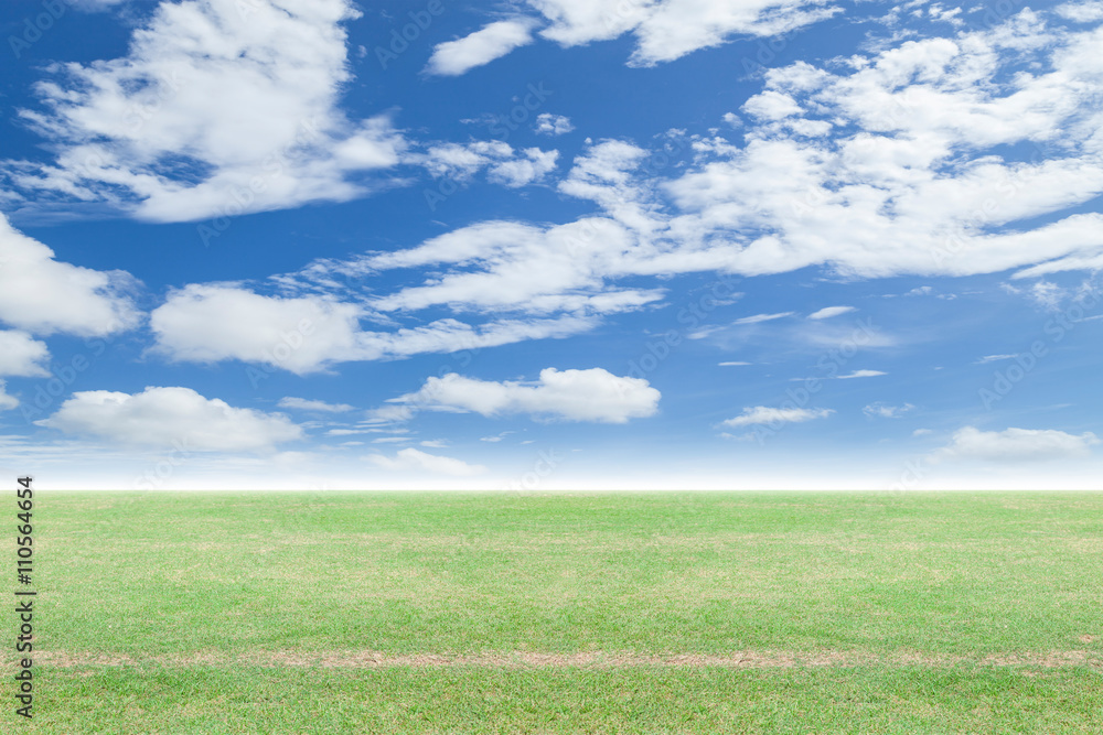 Fototapeta premium Green grass field and blue sky background.