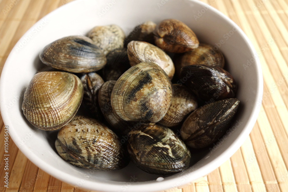 clam clam
