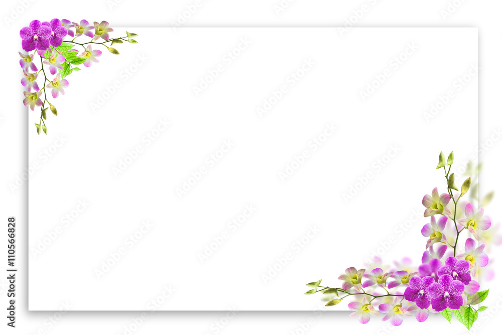 Beautiful orchid flower frame on white with blank place for text