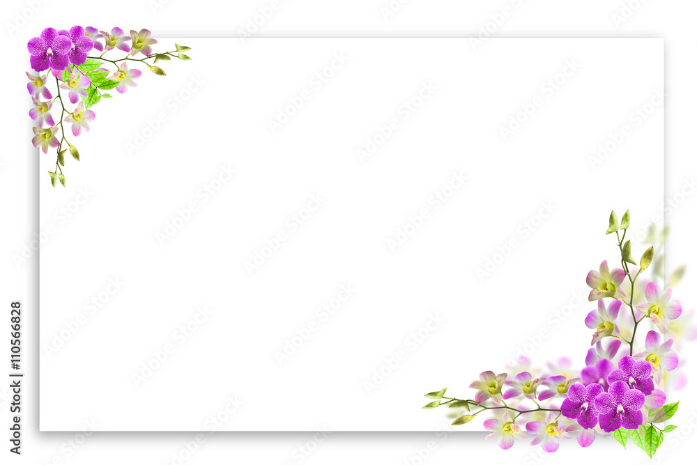 Beautiful orchid flower frame on white with blank place for text Beautiful orchid flower frame on white with blank place for text