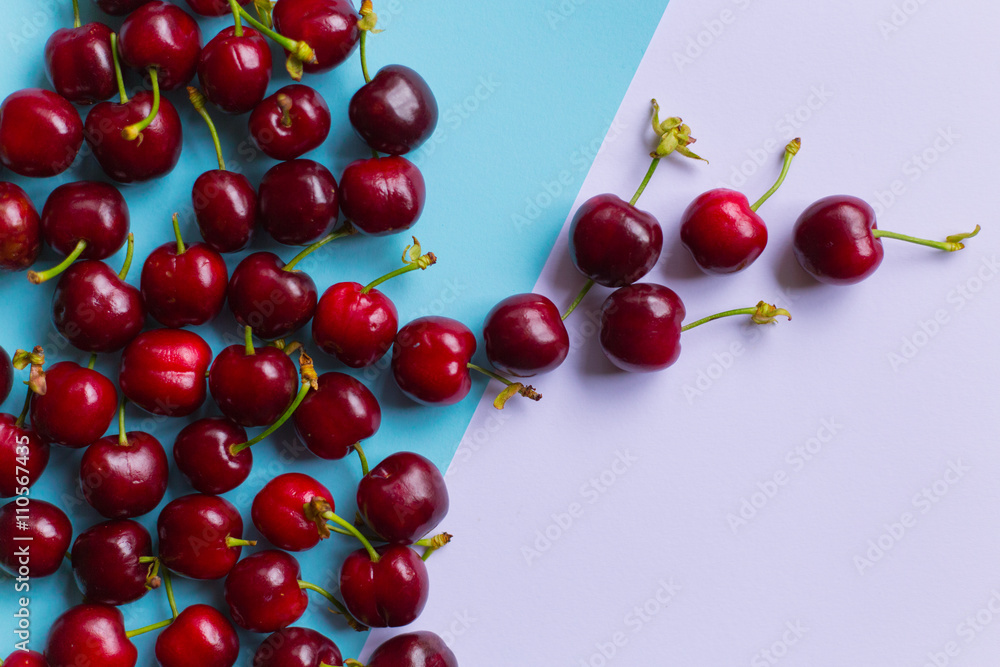 group of cherries on pastel color trendy background group of cherries on pastel color trendy background