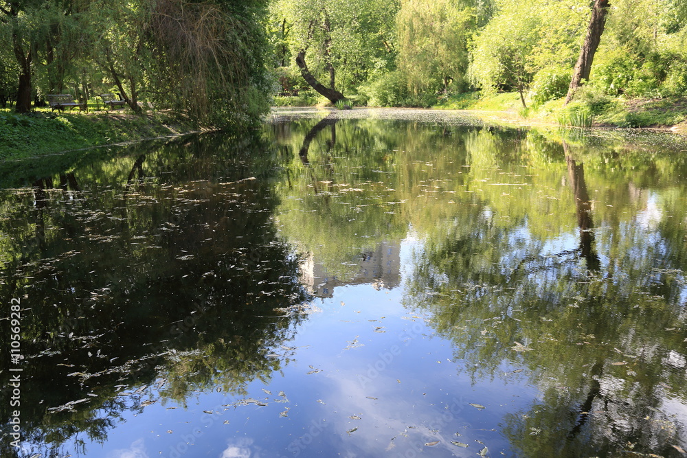Small abandoned pond in summer city park Small abandoned pond in summer city park