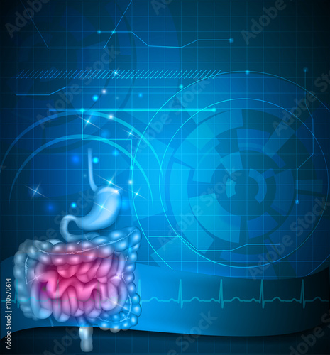 Gastrointestinal tract blue background. Stomach, small intestine and colon. Beautiful bright illustration.