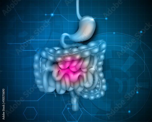 Gastrointestinal tract. Stomach, small intestine and colon, abstract blue technology background. Beautiful bright illustration.