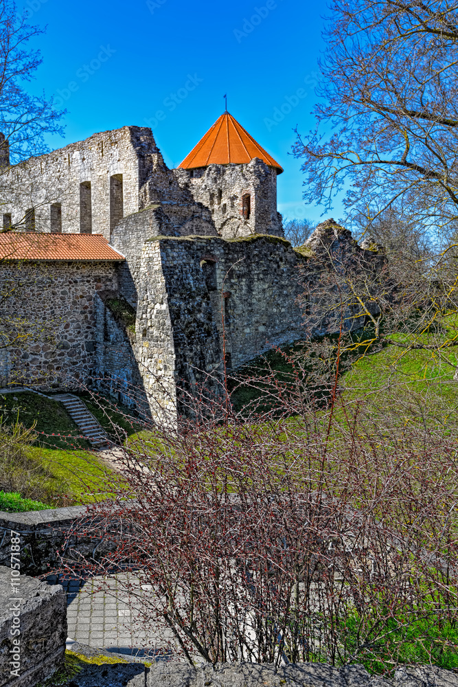 Cesis castle park, Cesis, Latvia in spring