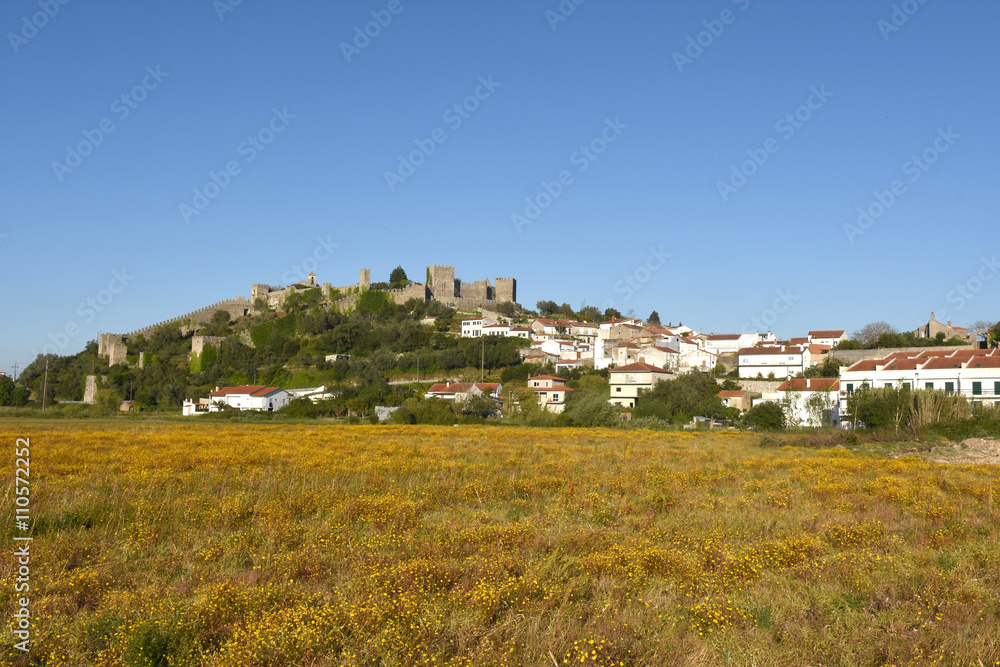 Village and castle of Montemor o velho, Beiras region, Portugal