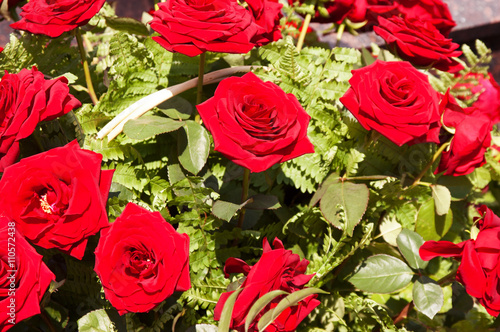 bouquet of brightly red roses