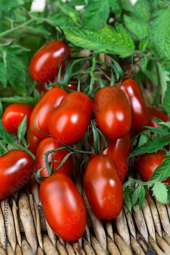 Black and red cherry tomatoes