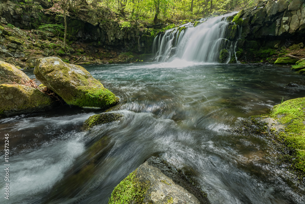 Fototapeta premium 蓼科大滝