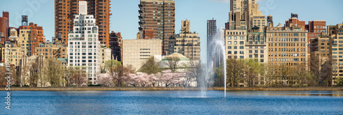 Spring at Central Park Reservoir on Upper East Side,  Manhattan, New York CIty. Yoshino cherry trees blooming along the running track with Jacqueline Kennedy Onassis Reservoir and fountain