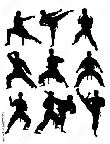 Taekwondo and Karate, art vector silhouettes design photo