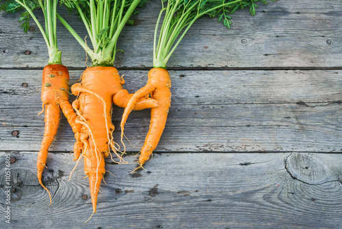 Trendy ugly organic  carrot