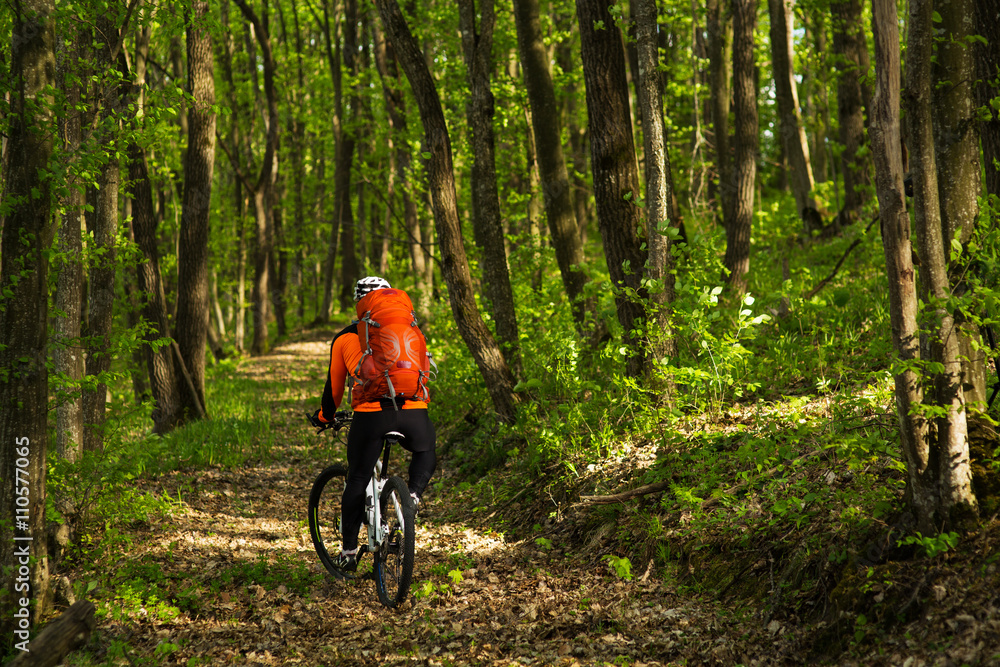 Fototapeta premium Cyclist Riding the Bike on a Trail in Summer Forest