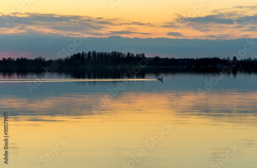 Wallpaper Mural Birds floating in calm lake after sunset Torontodigital.ca