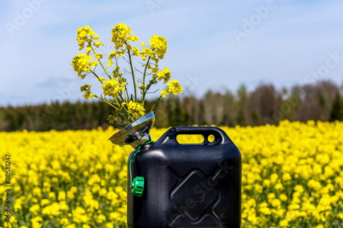 Ein Kanister mit Rapsblüten, Bio-Öl