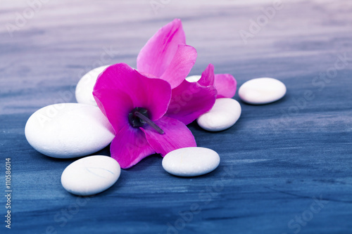 Spa still life with pink orchid and white zen stones on dark background - retro styled photo