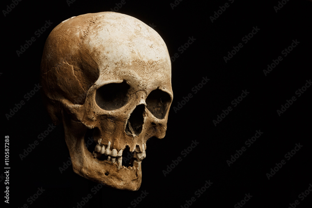 hand holding a skull is isolated on black background hand holding a skull is isolated on black background