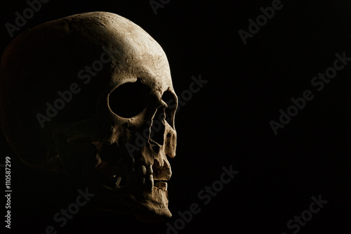 Vászonkép hand holding a skull is isolated on black background
